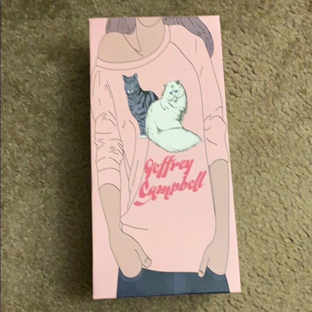 Jeffrey Campbell flip flops